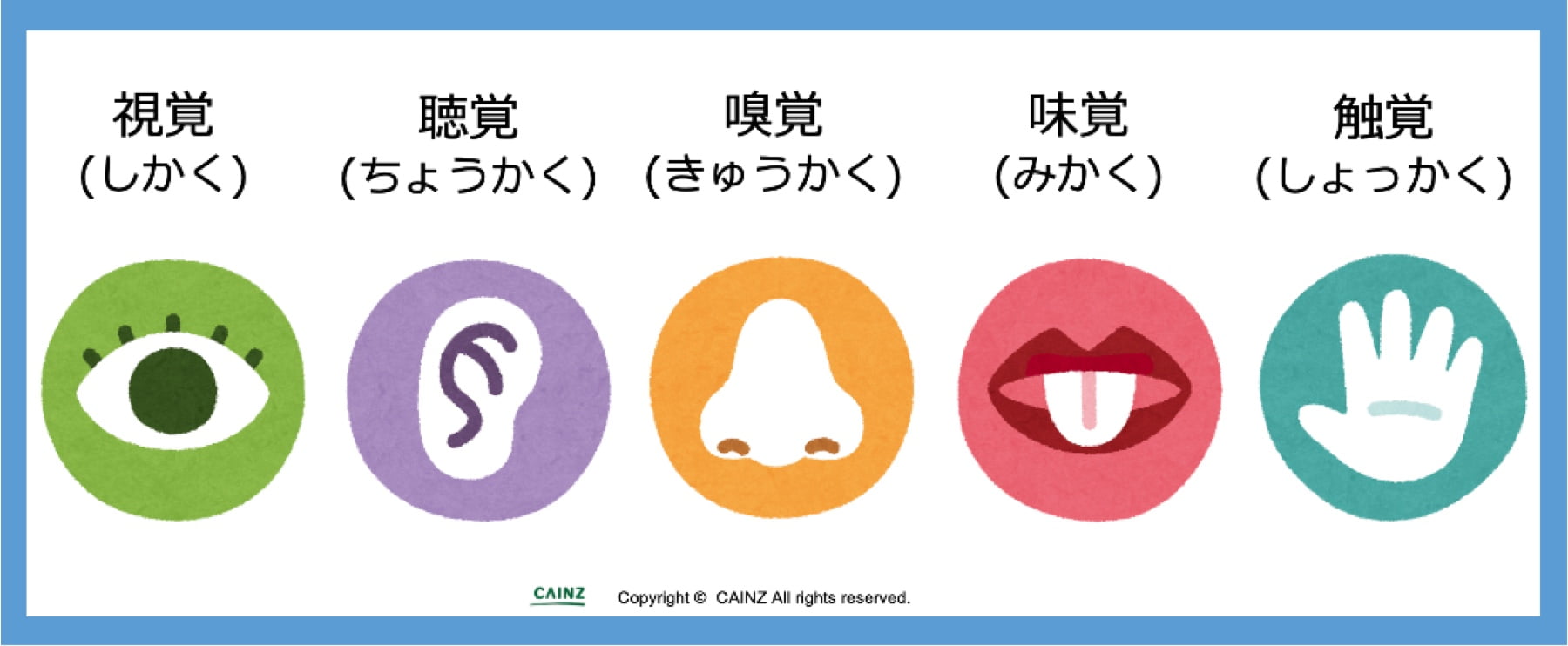情報は5つの感覚“五感”でキャッチ
